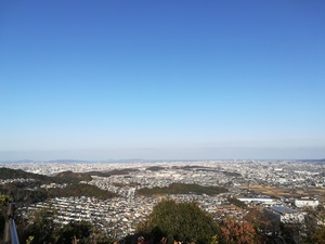 IMG_20210104_084955.jpg
