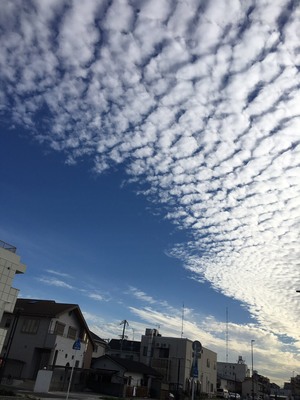 1126BF22-B432-443D-B9F6-A9BF4E24705D.jpeg