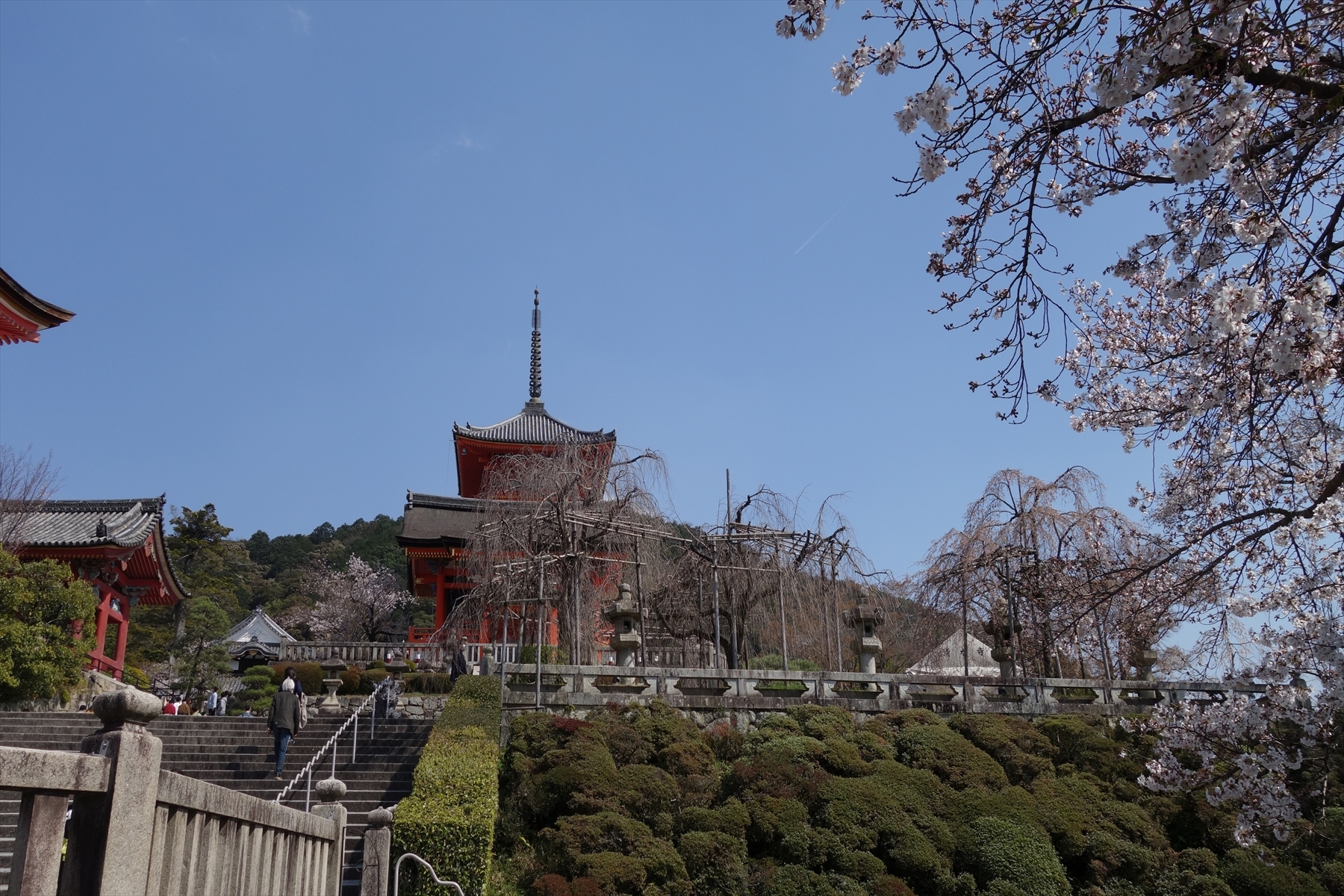清水寺003.JPG