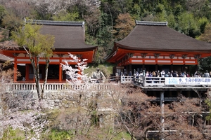 清水寺037.JPG