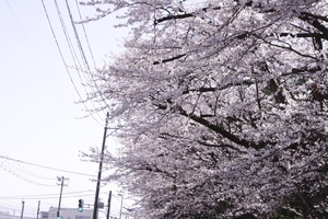 5A7E214E-5C8D-4A65-8ECF-0D5B8418F94E.jpeg