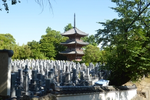 宝積寺010.JPG