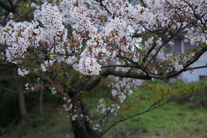 7BE71016-C40E-450C-B3A4-18A2E8E6B762.jpeg