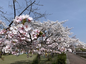 IMG_2046.jpeg