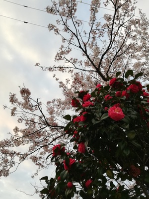 IMG_20210404_055508.jpg