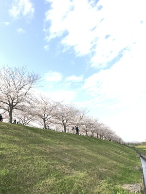 10128F8B-0418-44A4-B405-833C66F534E5.jpeg