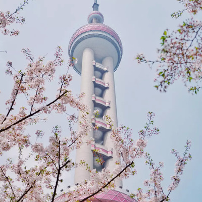 電子台の桜.png