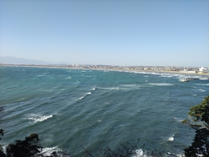 IMG_20210220_141320.jpg