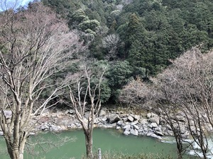 B22101E2-DDCF-450A-927B-C7216D904267.jpeg
