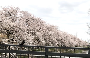 FFC63182-A59D-482D-8550-F116BD03D3C2.jpeg