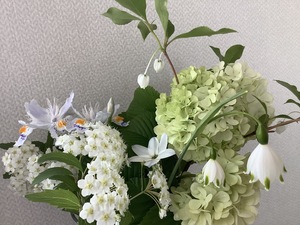 DDD44D61-4A67-49CE-95F5-A48900614CED.jpeg
