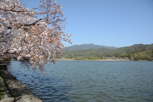 広沢の池002.JPG