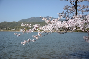 広沢の池004.JPG