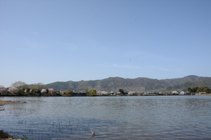 広沢の池007.JPG