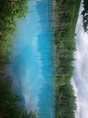 DSC_0113.JPG