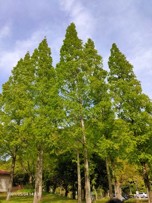 IMG20210504144357.jpg