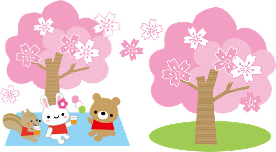 １さくら.png
