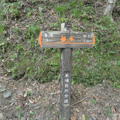 東海自然歩道040.JPG