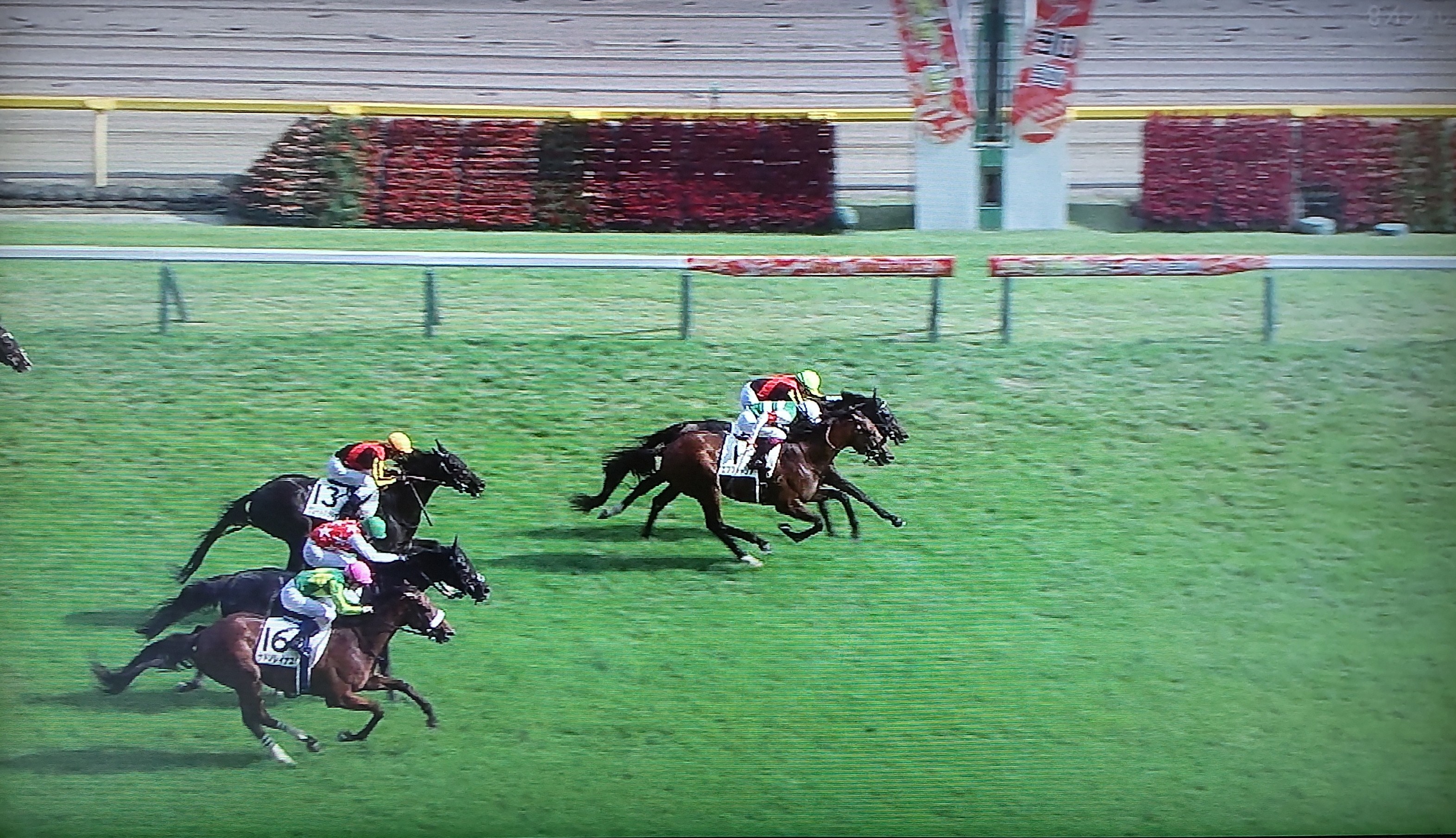 👑ダービー勝利の🌟栄誉は、僅かに🐴ハナの差💦で決着❗【第88回