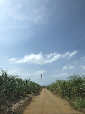 F80097CE-C2A4-4D79-B112-59EDEF434AC3.jpeg