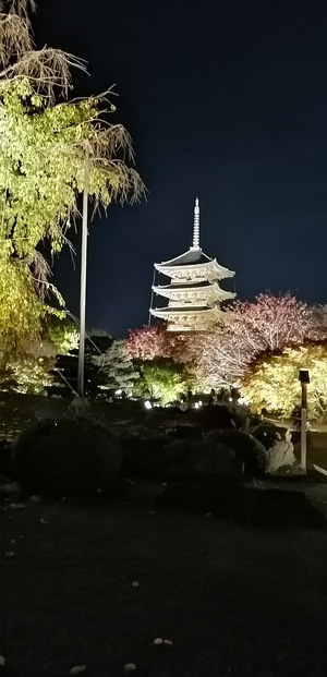 IMG_20201119_181302.jpg