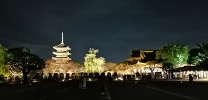 IMG_20201119_184835.jpg