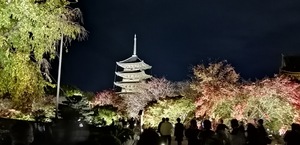 IMG_20201119_184211.jpg
