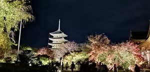 IMG_20201119_184203.jpg