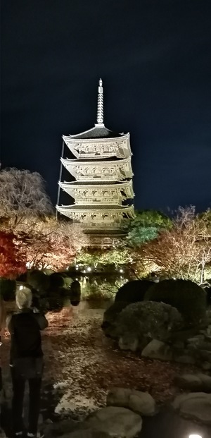IMG_20201119_184020.jpg