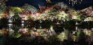 IMG_20201119_183809.jpg