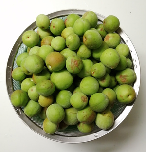 ume.jpg
