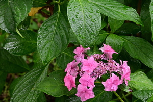 img_202106231530249540.jpg