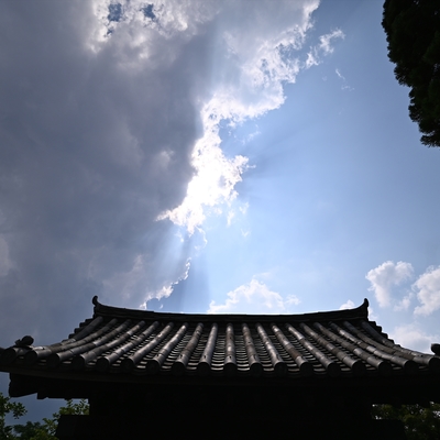 相国寺081.JPG
