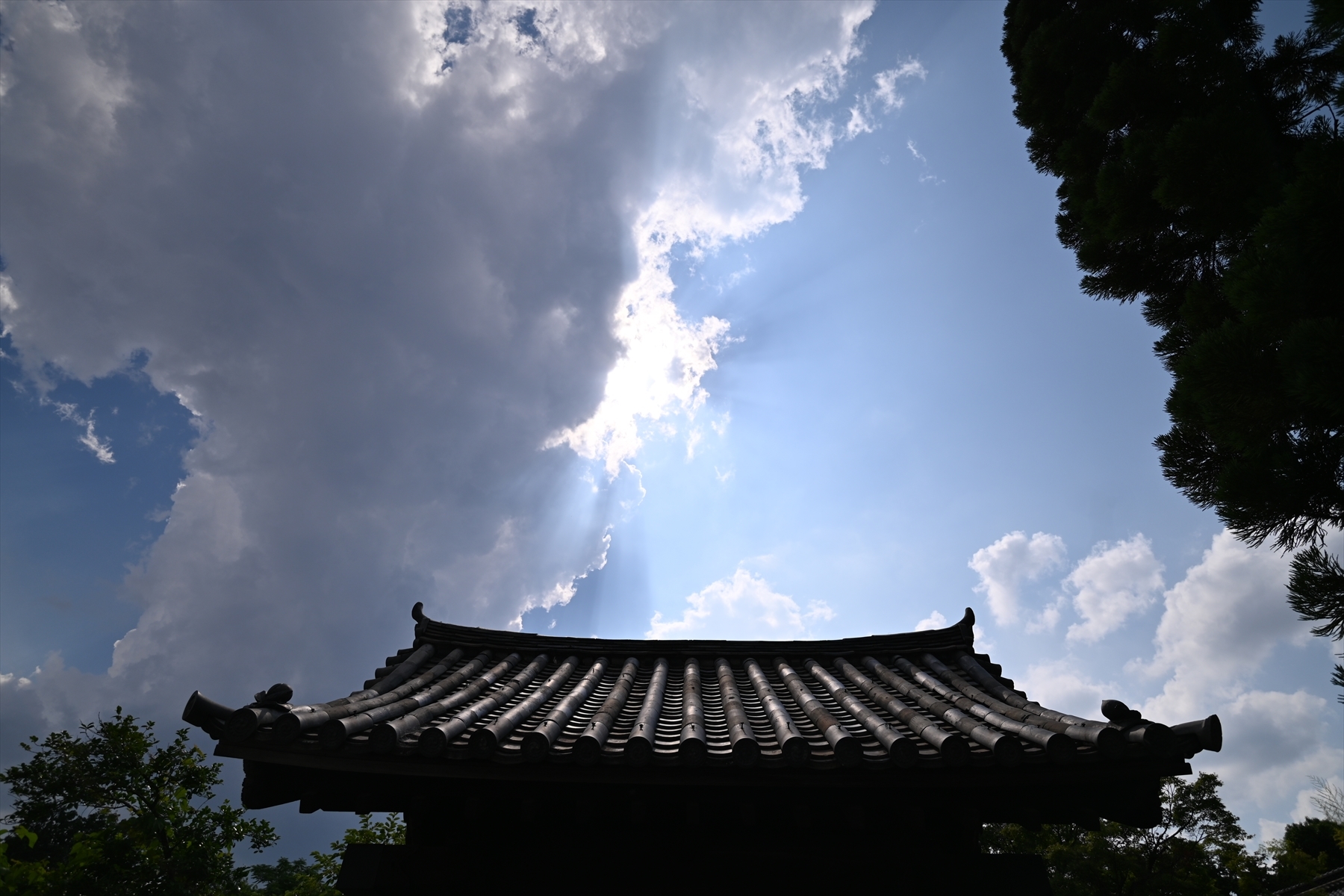 相国寺081.JPG
