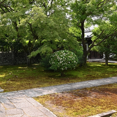 相国寺082.JPG