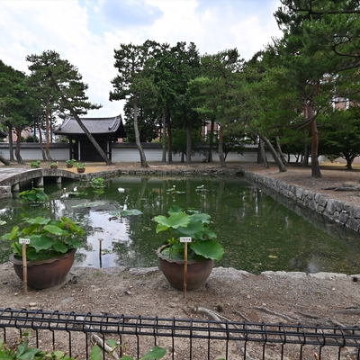 相国寺083.JPG