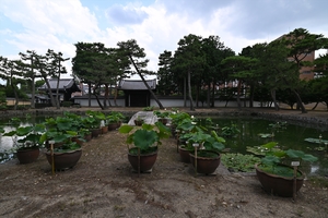 相国寺084.JPG