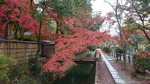 DSC_0669.JPG