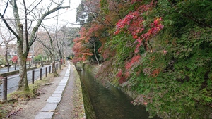 DSC_0671.JPG