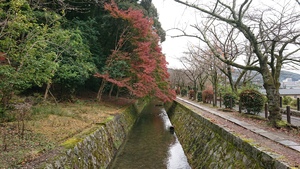 DSC_0673.JPG
