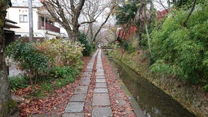 DSC_0677.JPG
