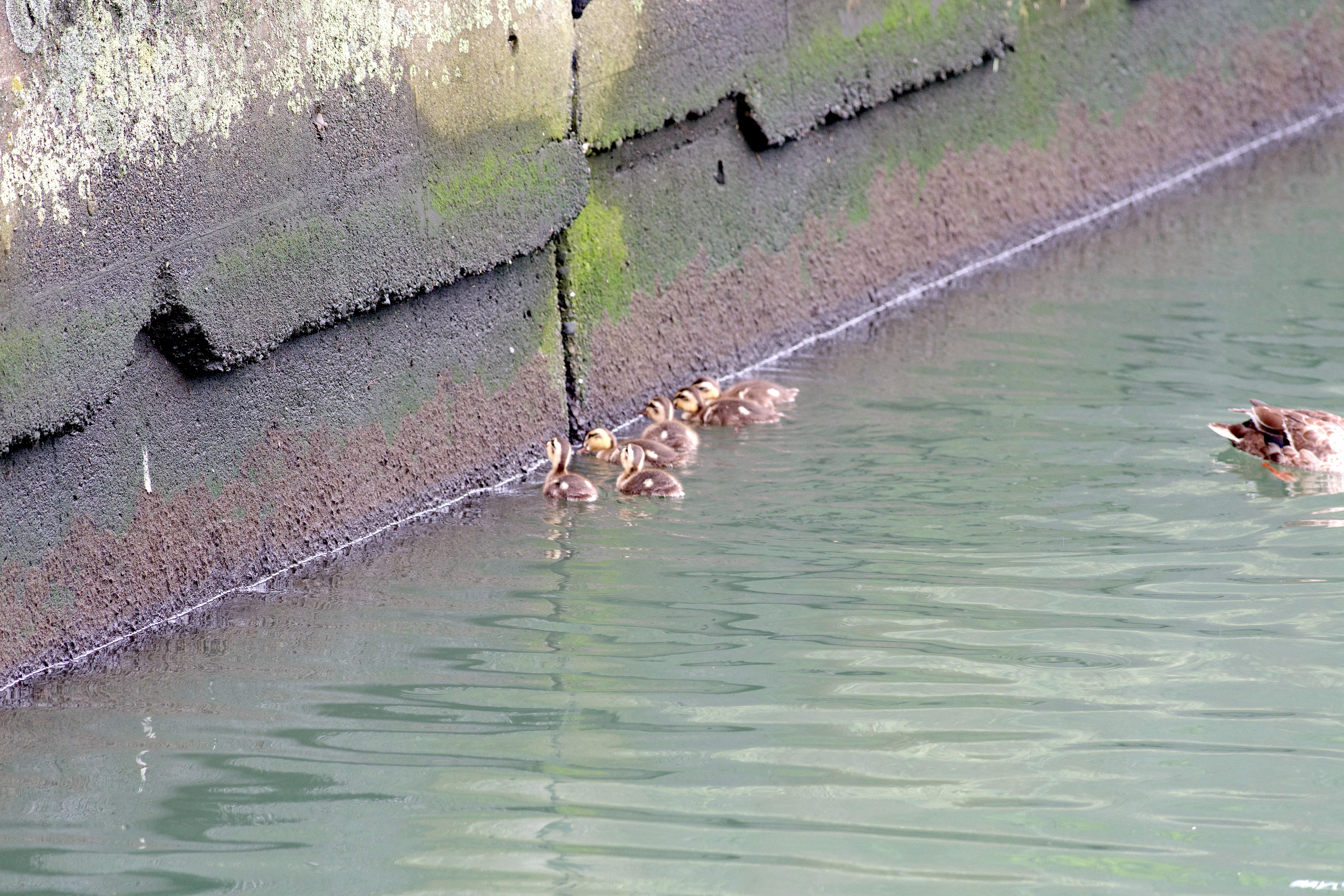 親子6.jpg