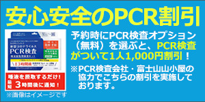 PCR2.png