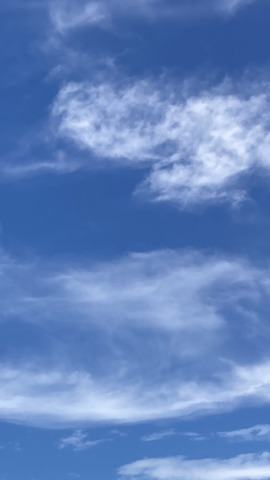 見上げる空 掲示板 マイネ王