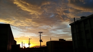 20210728_184749975.jpg