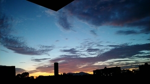 20210728_193000199.jpg
