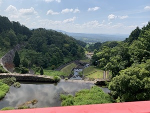 IMG_4399.JPG