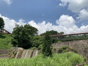IMG_4434.JPG