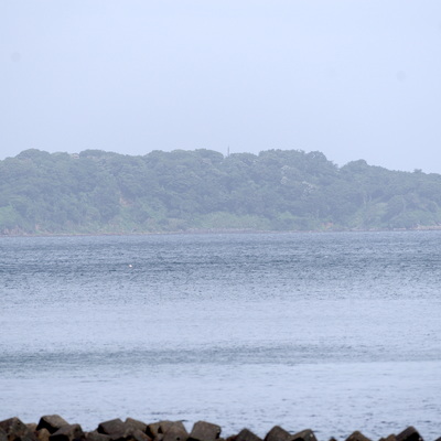 猿島.jpg