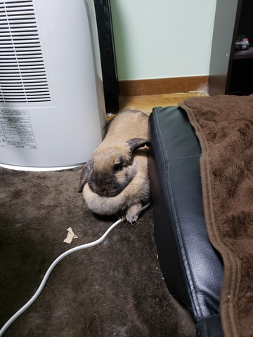 20180609_233234.jpg